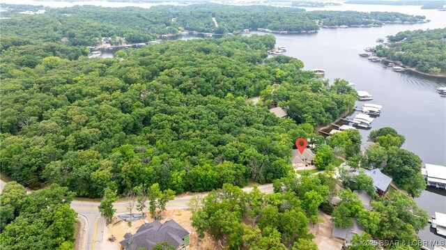 135 Greensboro Ct, Four Seasons, MO 65049 - bird's eye view of a large body of water and a forest