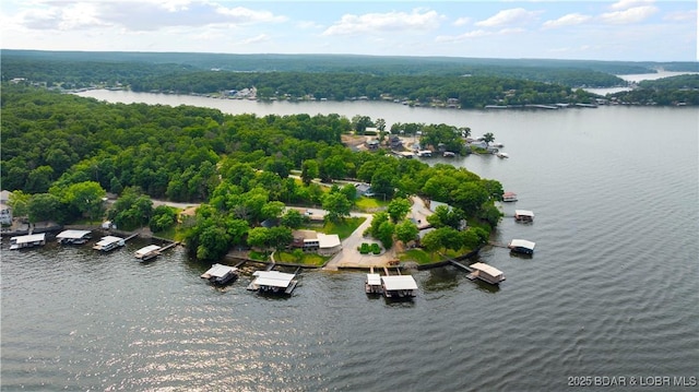 30383 Bullock Dr, Gravois Mills, MO 65037 - drone / aerial view of a large body of water