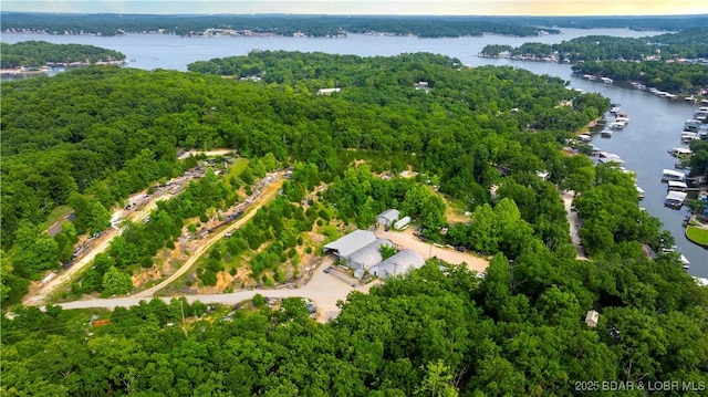 30383 Bullock Dr, Gravois Mills, MO 65037 - aerial view of a large body of water and a forest