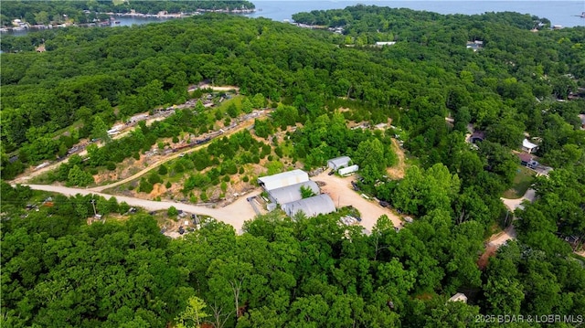 30383 Bullock Dr, Gravois Mills, MO 65037 - aerial view of property's location with a nearby body of water and a forest