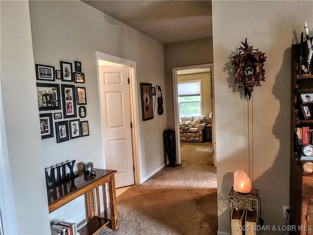 292 Bonaire Rd, Camdenton, MO 65020 - photo 23