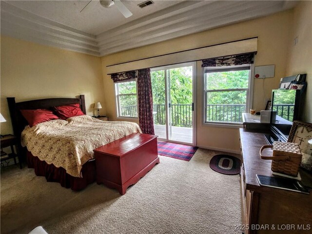 292 Bonaire Rd, Camdenton, MO 65020 - photo 24