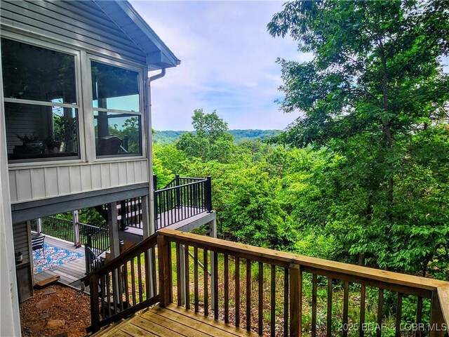 292 Bonaire Rd, Camdenton, MO 65020 - photo 40