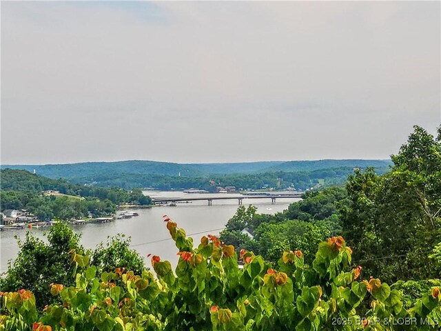 292 Bonaire Rd, Camdenton, MO 65020 - photo 49
