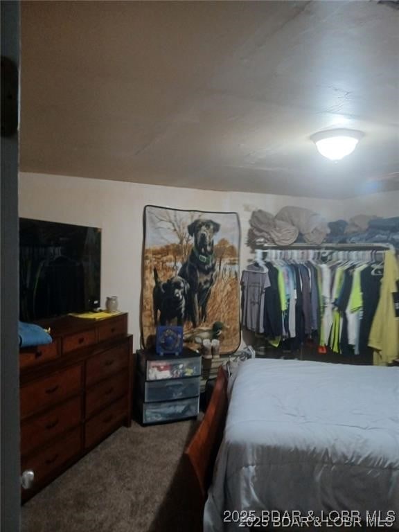 206 Oak St S, Versailles, MO 65084 - bedroom with carpet floors
