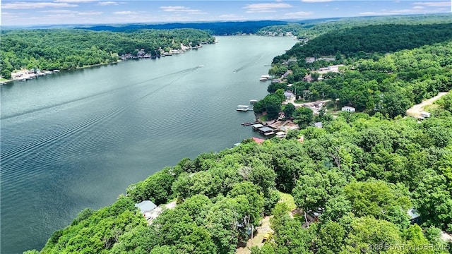 26794 Boone Rd, Barnett, MO 65011 - aerial view of a forest and a nearby body of water