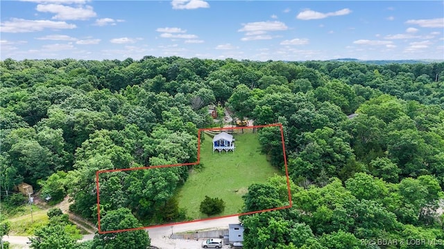26794 Boone Rd, Barnett, MO 65011 - aerial view of property's location with a forest and property parcel outlined