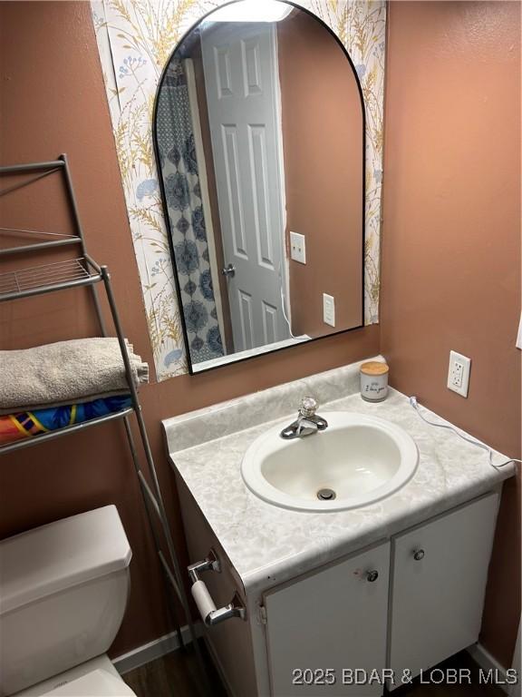 121 Banner St, Camdenton, MO 65020 - bathroom featuring vanity and toilet