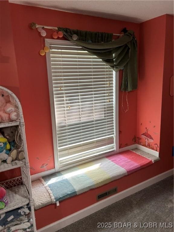 121 Banner St, Camdenton, MO 65020 - detailed view of carpet floors and baseboards
