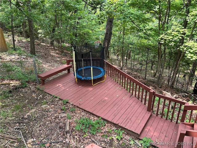121 Banner St, Camdenton, MO 65020 - deck with a trampoline