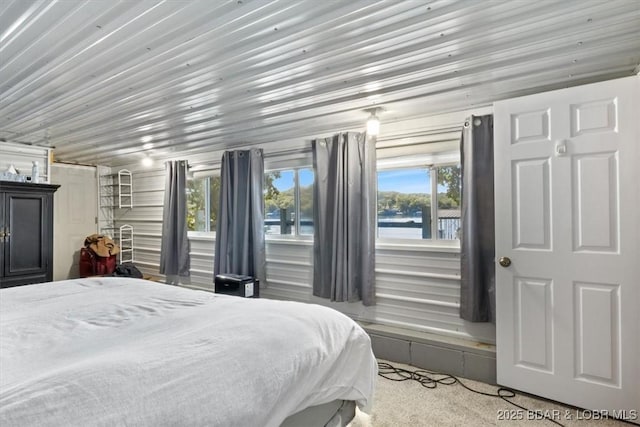 27638 Golden Point Ln, Barnett, MO 65011 - carpeted bedroom featuring multiple windows