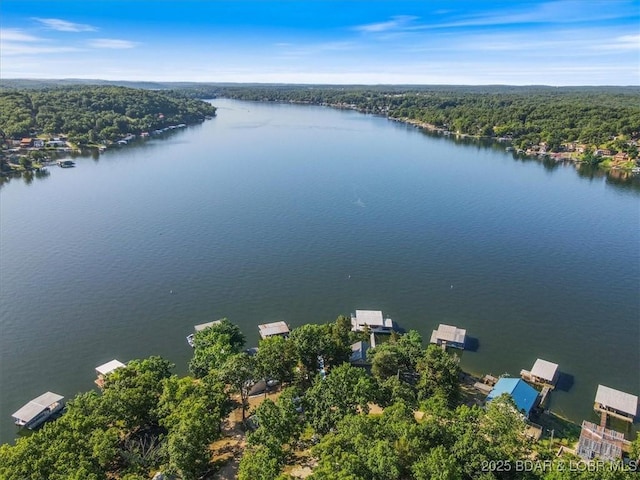 27638 Golden Point Ln, Barnett, MO 65011 - aerial view of a forest and a nearby body of water