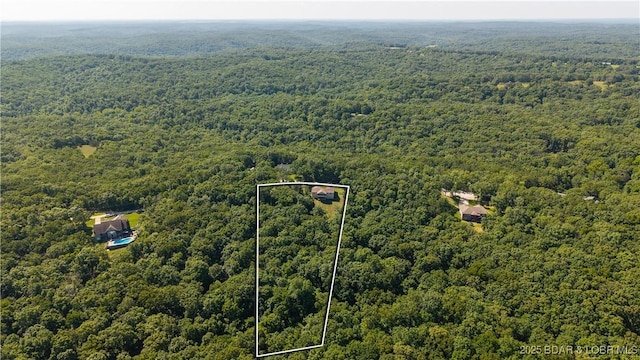 21 Winston Ln, Kaiser, MO 65047 - aerial view of property's location with a heavily wooded area and property parcel outlined