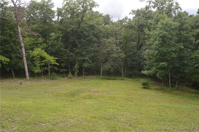 21 Winston Ln, Kaiser, MO 65047 - view of green lawn with a forest view