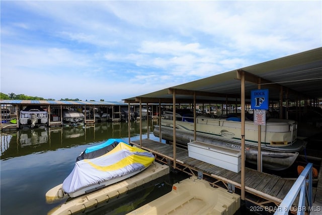 1442 Nichols Rd Unit D301, Osage Beach, MO 65065 - dock area with boat lift and a water view