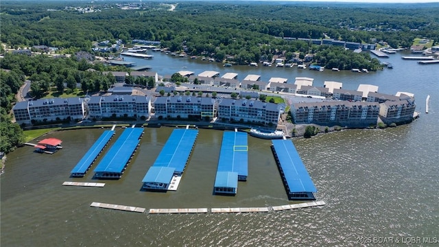 5450 Christopher Ln Unit 211, Osage Beach, MO 65065 - bird's eye view of a forest and a large body of water