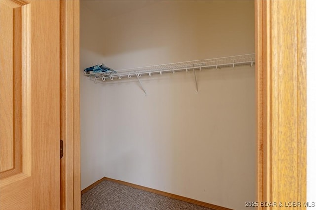 49 Aqua Fin Dr Unit 3B, Lake Ozark, MO 65049 - view of closet