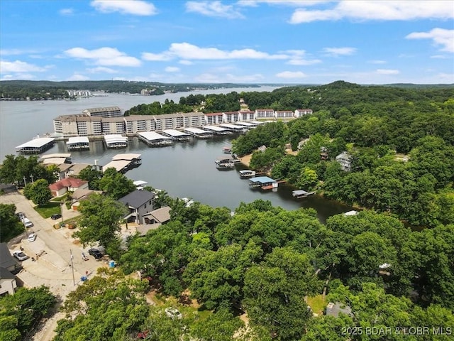 43 Bob White Ln, Lake Ozark, MO 65049 - aerial view of a nearby body of water