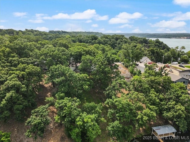 43 Bob White Ln, Lake Ozark, MO 65049 - aerial view of a forest and a large body of water