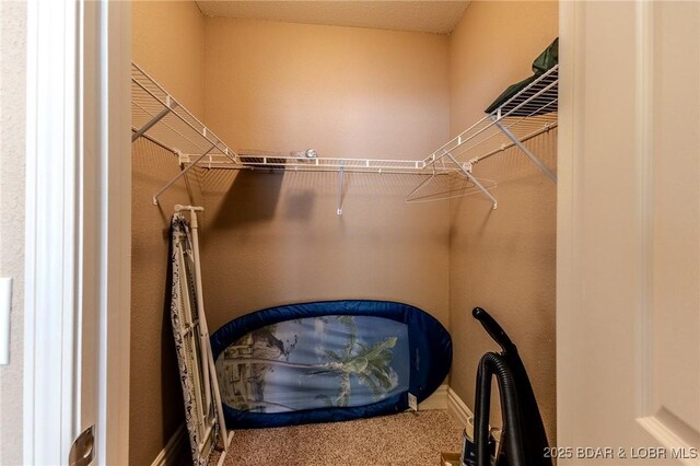 730 Flame Dr Unit 3C, Camdenton, MO 65020 - photo 29