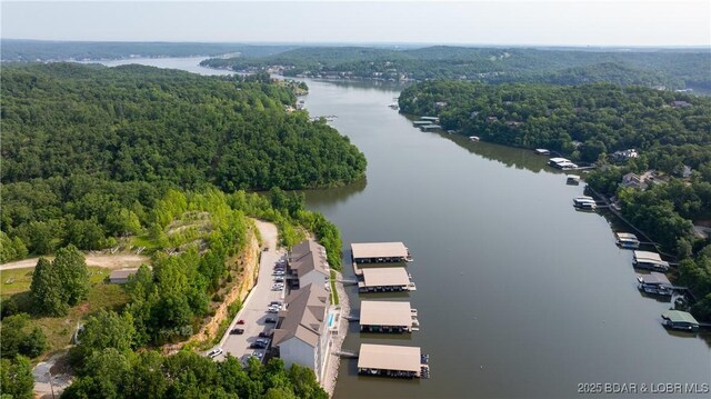 166 Oak Harbor Dr # 1-D, Camdenton, MO 65020 - photo 23