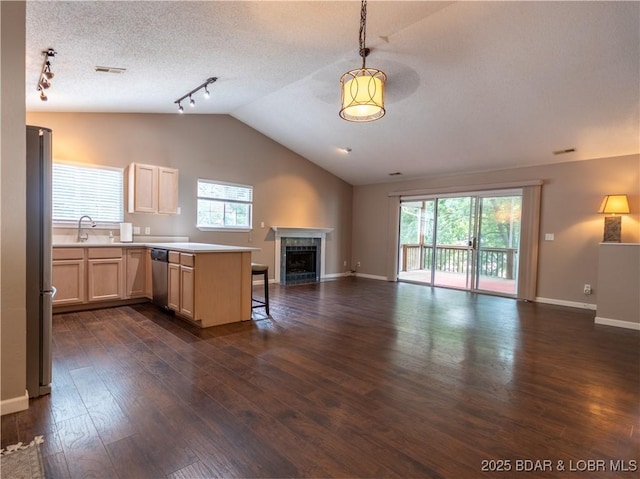 1403 Ginger Rd, Lake Ozark, MO 65049 - kitchen with open floor plan, track lighting, a peninsula, light brown cabinetry, and appliances with stainless steel finishes