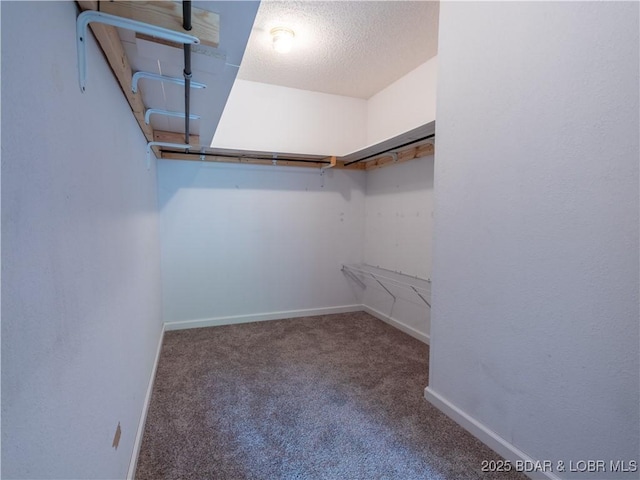 1403 Ginger Rd, Lake Ozark, MO 65049 - walk in closet with carpet
