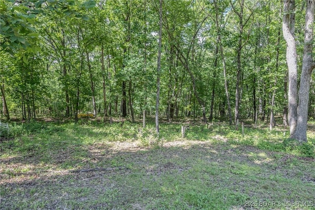 1170 San Jose Dr, Osage Beach, MO 65065 - view of woods