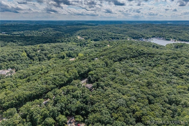 1170 San Jose Dr, Osage Beach, MO 65065 - aerial view of a forest and a large body of water