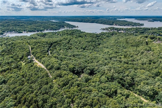 1170 San Jose Dr, Osage Beach, MO 65065 - bird's eye view of a heavily wooded area and a large body of water