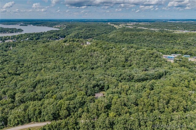 1170 San Jose Dr, Osage Beach, MO 65065 - bird's eye view of a forest