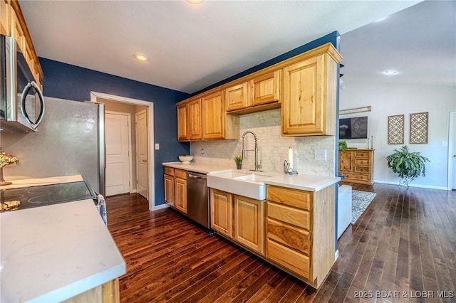 1170 San Jose Dr, Osage Beach, MO 65065 - kitchen with appliances with stainless steel finishes, dark wood-style flooring, tasteful backsplash, light countertops, and recessed lighting