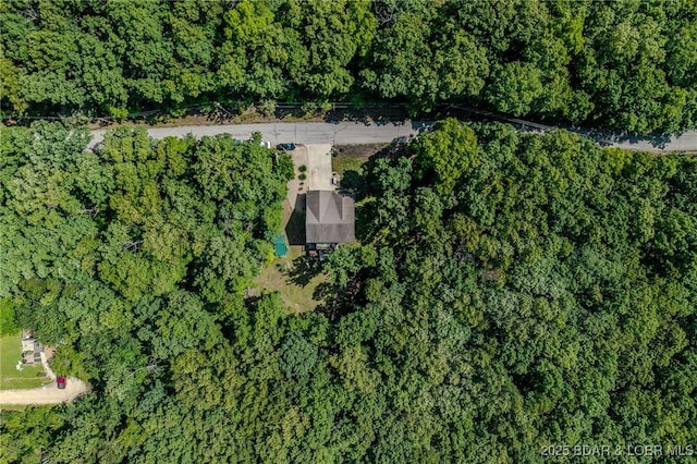 1170 San Jose Dr, Osage Beach, MO 65065 - aerial view of property's location