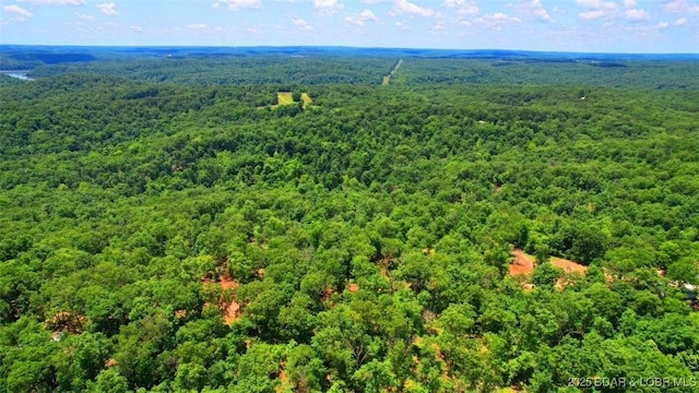 TBD Galveston Rd, Versailles, MO 65084 - photo 2