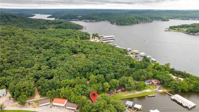 168 Moeller Way, Camdenton, MO 65020 - aerial view of a forest and a nearby body of water