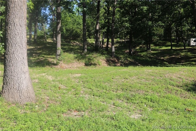 32609 Oak Hill Ln, Gravois Mills, MO 65037