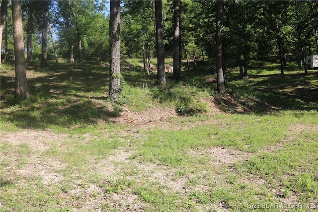 32609 Oak Hill Ln, Gravois Mills, MO 65037