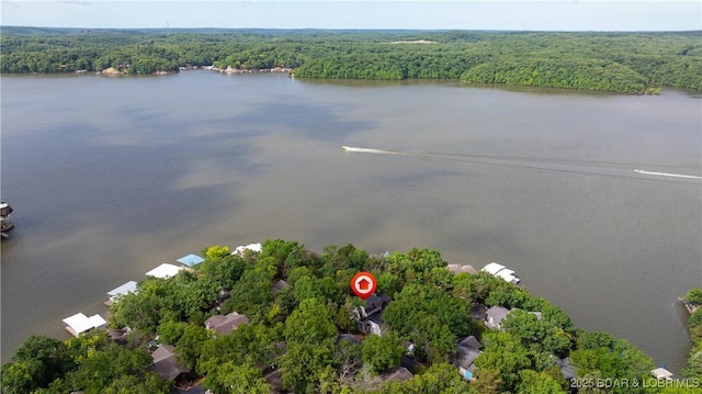 400 Hopetown Dr, Osage Beach, MO 65065 - drone / aerial view of a nearby body of water