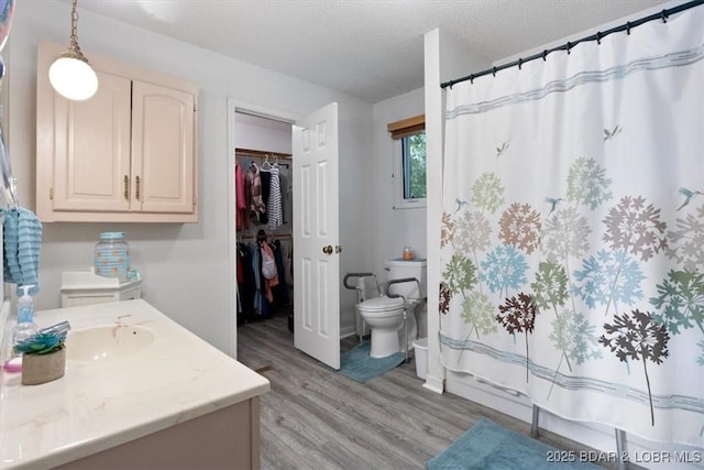 250 De Young Dr, Climax Springs, MO 65324 - bathroom with wood finished floors, vanity, a textured ceiling, and a shower with curtain
