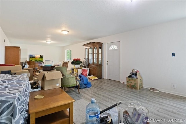 250 De Young Dr, Climax Springs, MO 65324 - living area with light wood finished floors and baseboards