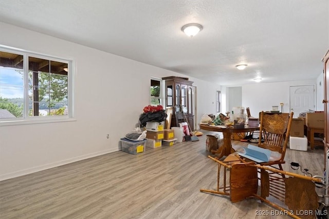 250 De Young Dr, Climax Springs, MO 65324 - dining space with light wood finished floors and baseboards