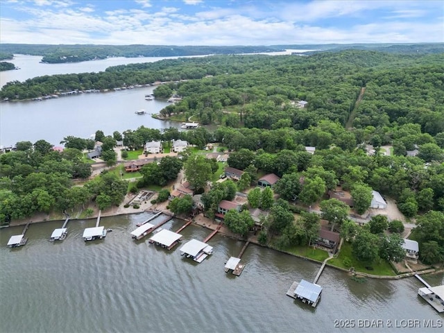 250 De Young Dr, Climax Springs, MO 65324 - drone / aerial view of a large body of water and a forest