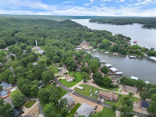 250 De Young Dr, Climax Springs, MO 65324 - drone / aerial view of a large body of water and a forest