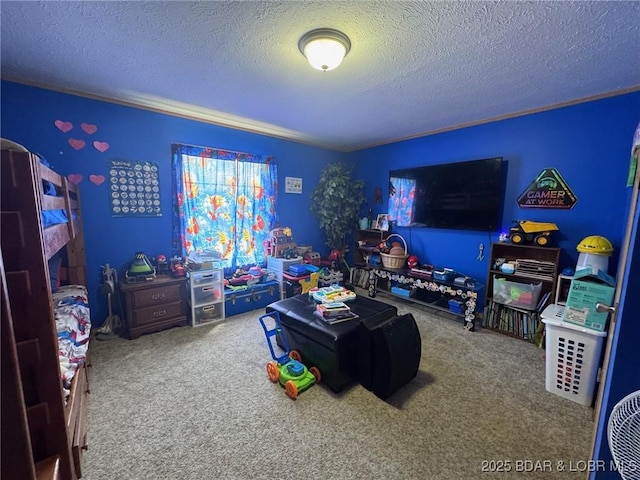 974 State Rte E, Montreal, MO 65591 - game room with carpet flooring and a textured ceiling