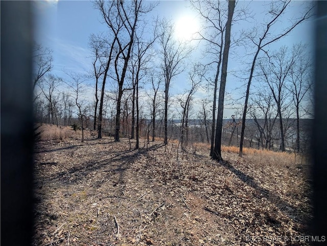2021 Wilson Bend Road Lot 1, Util Lot 3, Gravois Mills, MO 65037