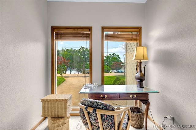 1759 Chimney Pt, Sunrise Beach, MO 65079 - entryway with a textured wall and baseboards