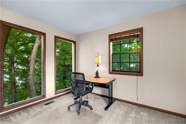 1759 Chimney Pt, Sunrise Beach, MO 65079 - office with baseboards and carpet flooring