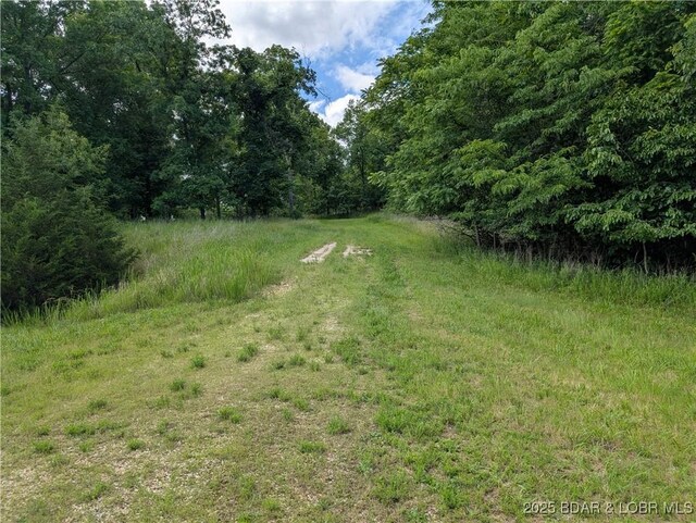 20 Ma Ma Ln Lot 3, Gravois Mills, MO 65037 - photo 2