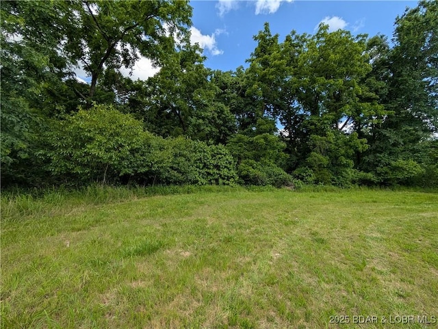 20 Ma Ma Ln Lot 3, Gravois Mills, MO 65037 - photo 3
