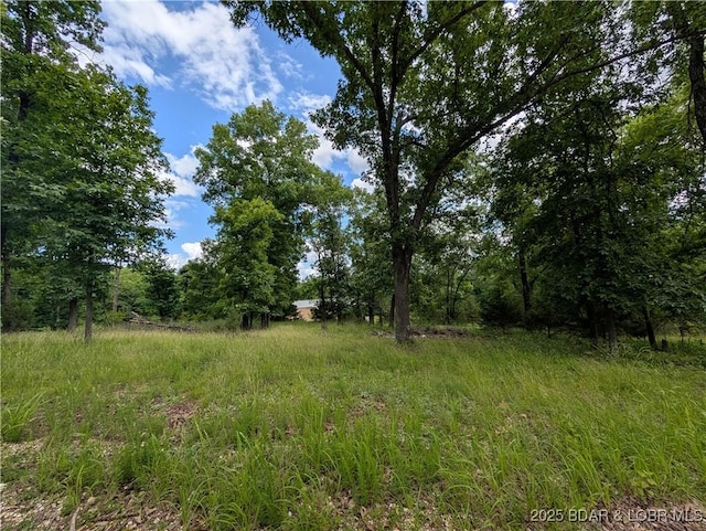 20 Ma Ma Ln Lot 3, Gravois Mills, MO 65037 - photo 4